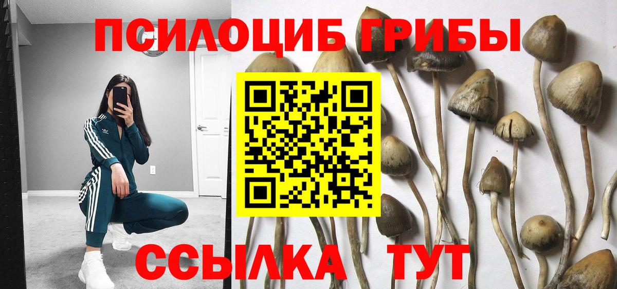 Галлюциногенные грибы мухоморы Усть-Джегута