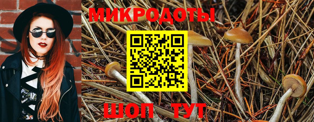 Усть-Джегута  Псилоцибиновые грибы прущие грибы  Вход с VPN 
